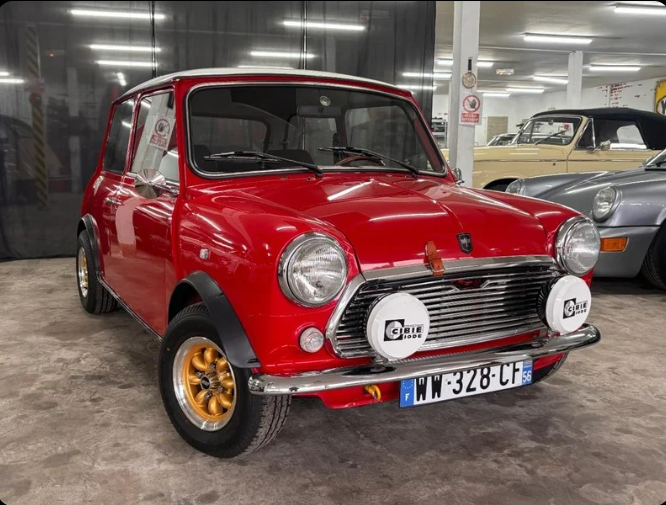 MINI 1000 THIRTY / LOOK PADDY HOPKIRK