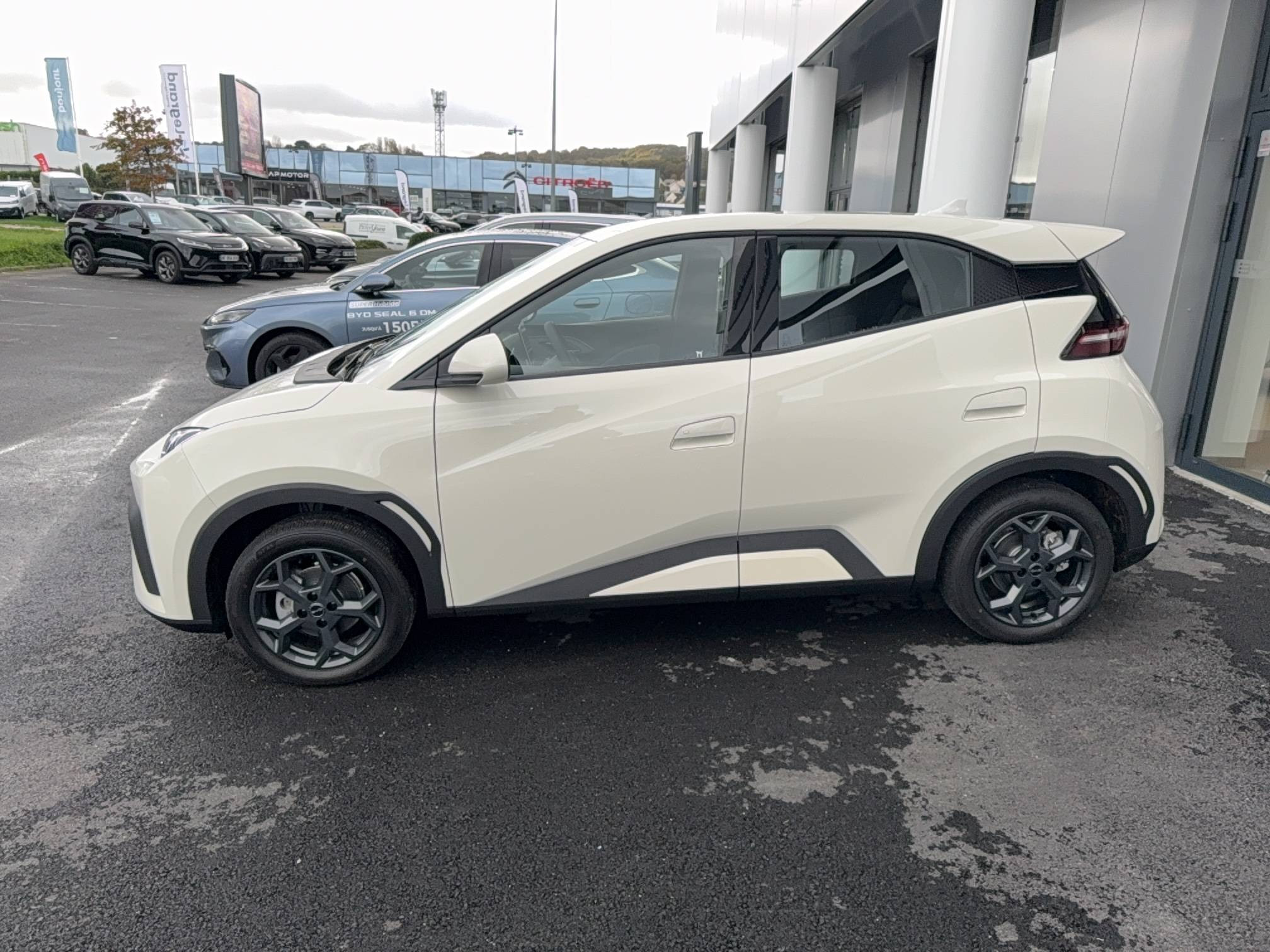 Byd Dolphin Surf